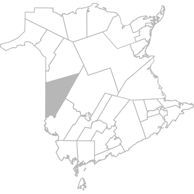 Florenceville