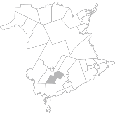 Oromocto